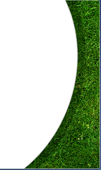 grass inlay